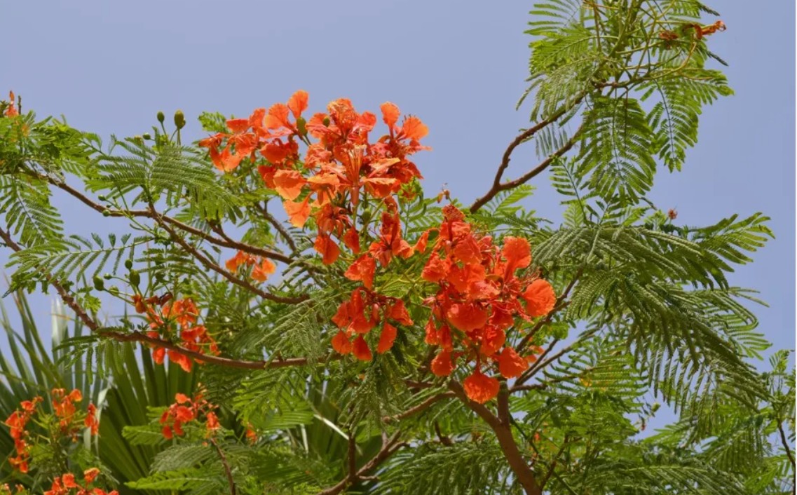 Happy Sham el Nassim! Happy Sham el Nassim!