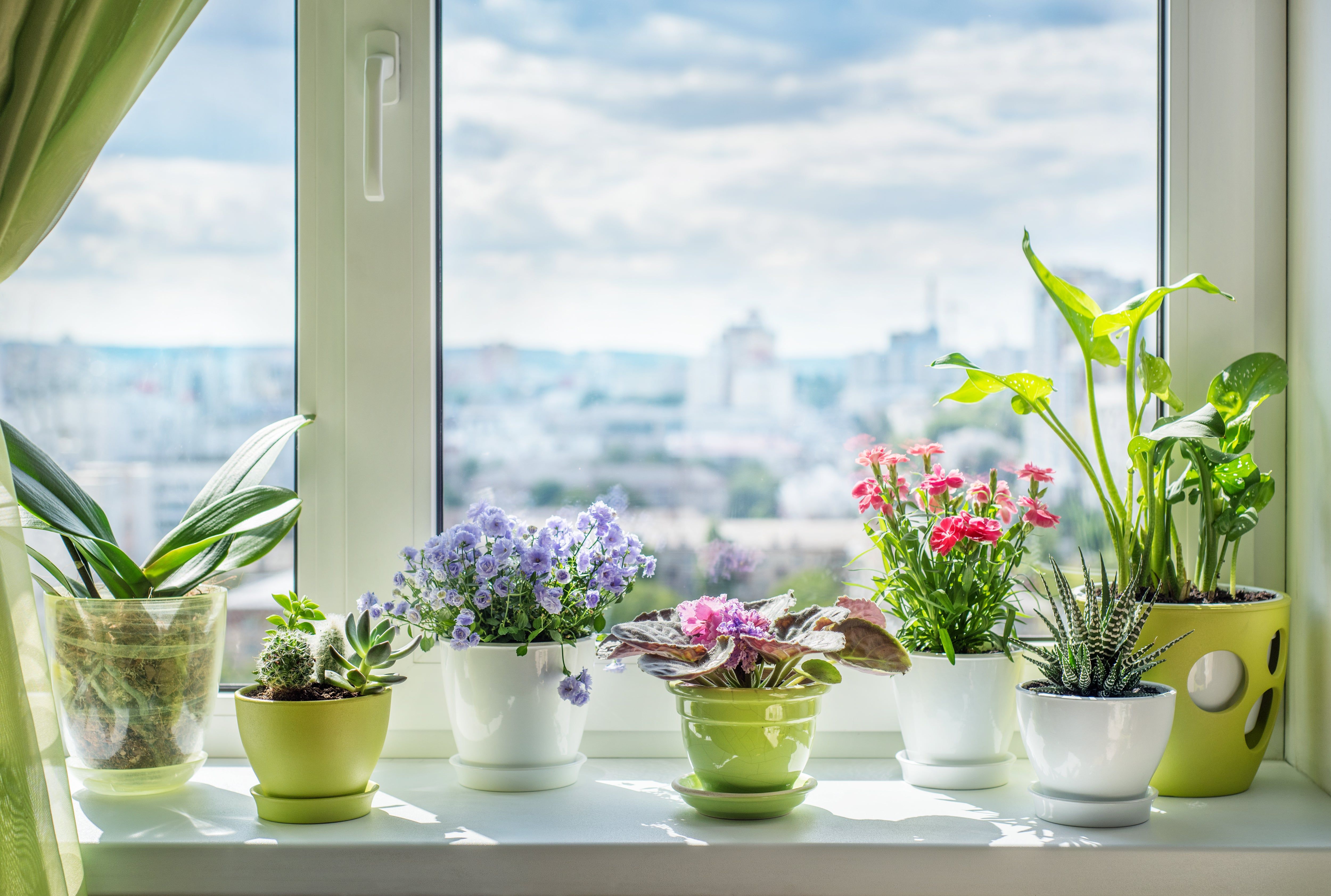 Living Accent: How to Decorate PVC Windows with Flowers Living Accent: How to Decorate PVC Windows with Flowers