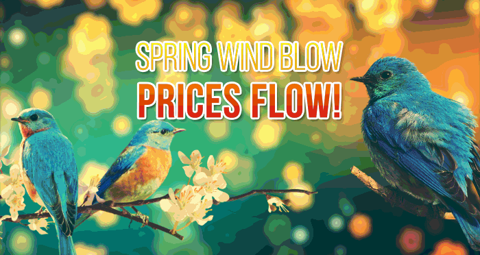 Spring Wind Blow, Prices Flow! Happy Sham El Nessim! Only 7 days 20% discount for all PVC windows Premium class from Eco House. Order and pay from 19 till 26 of April 2020.